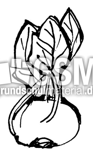Kohlrabi.tif